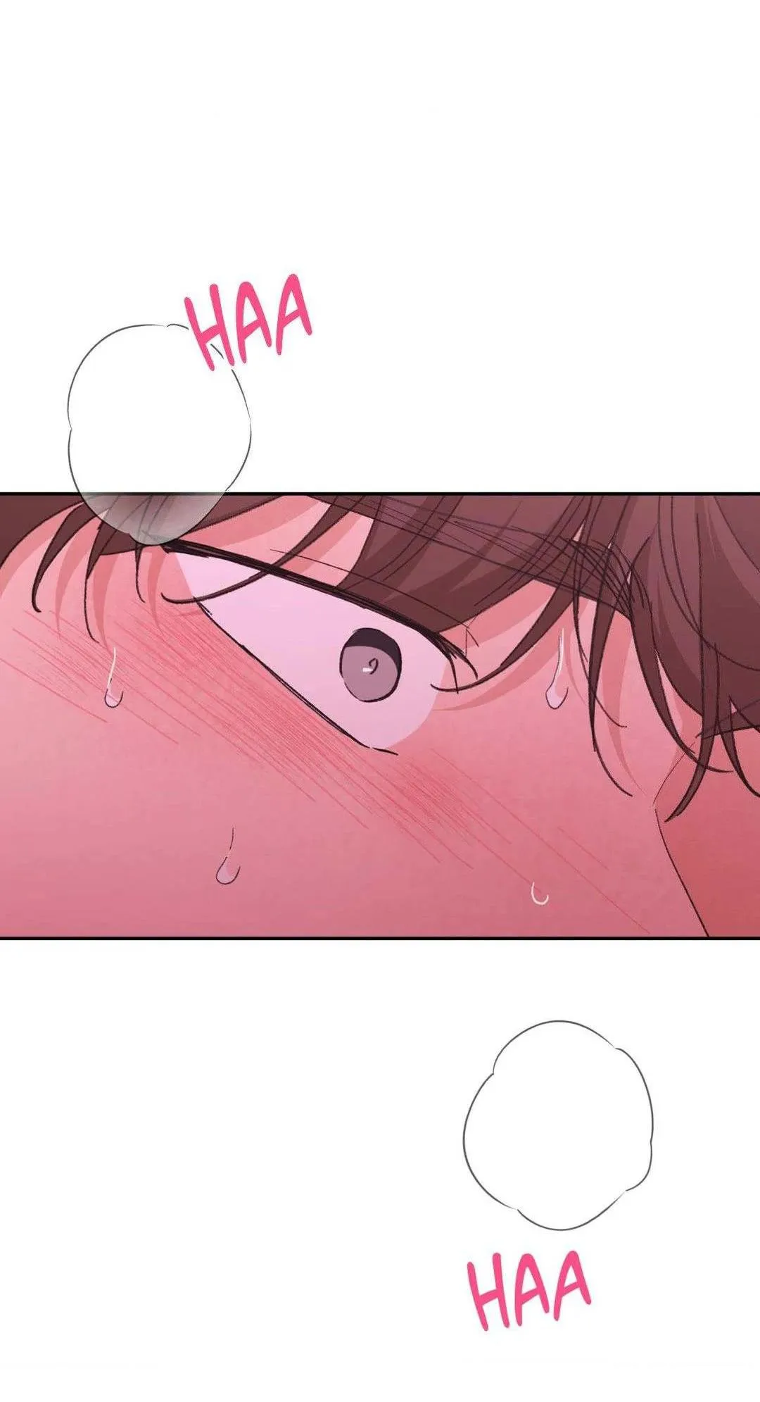 Chiếc Lá Lay Động Theo Giai Điệu Chapter 19 Trang 13