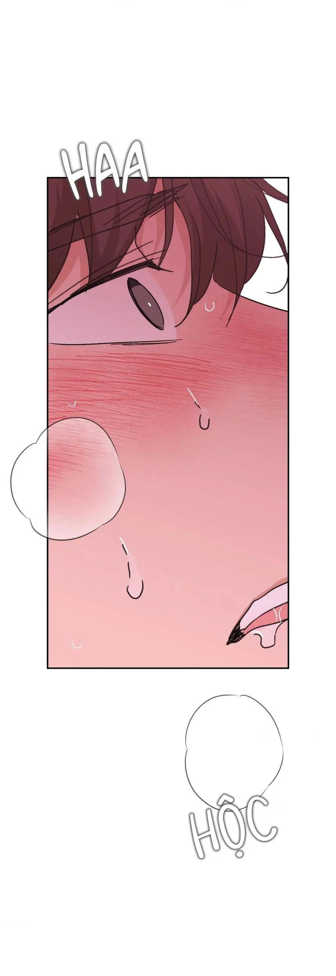 Chiếc Lá Lay Động Theo Giai Điệu Chapter 19 Trang 41