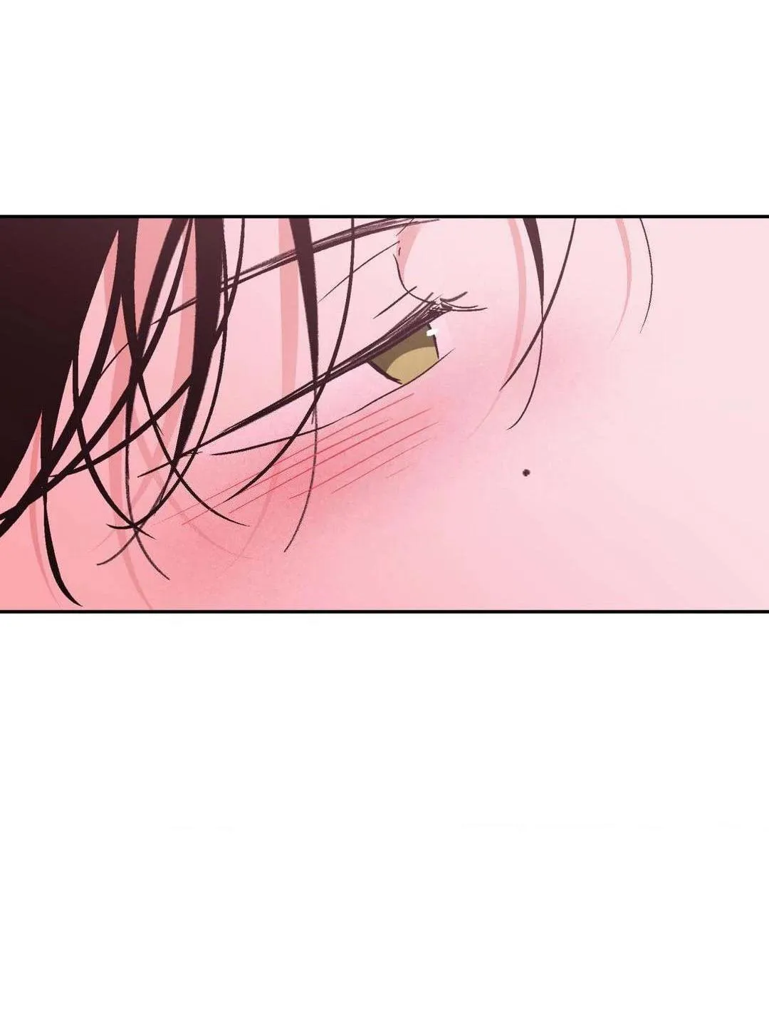 Chiếc Lá Lay Động Theo Giai Điệu Chapter 19 Trang 74