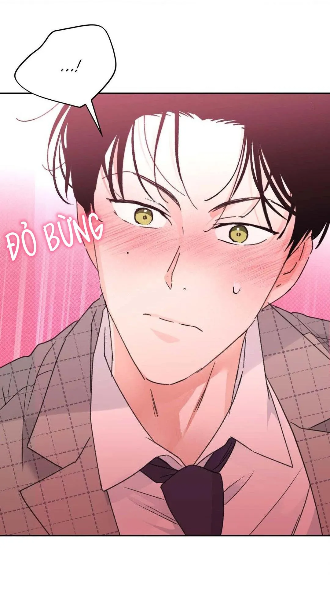 Chiếc Lá Lay Động Theo Giai Điệu Chapter 21 Trang 11