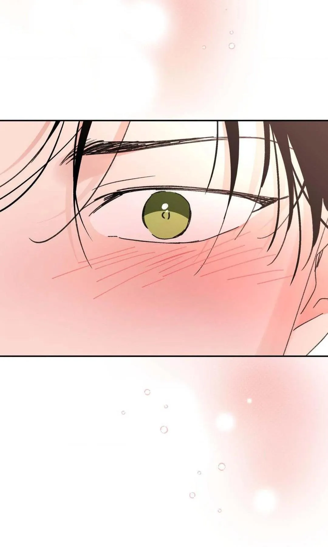 Chiếc Lá Lay Động Theo Giai Điệu Chapter 21 Trang 53