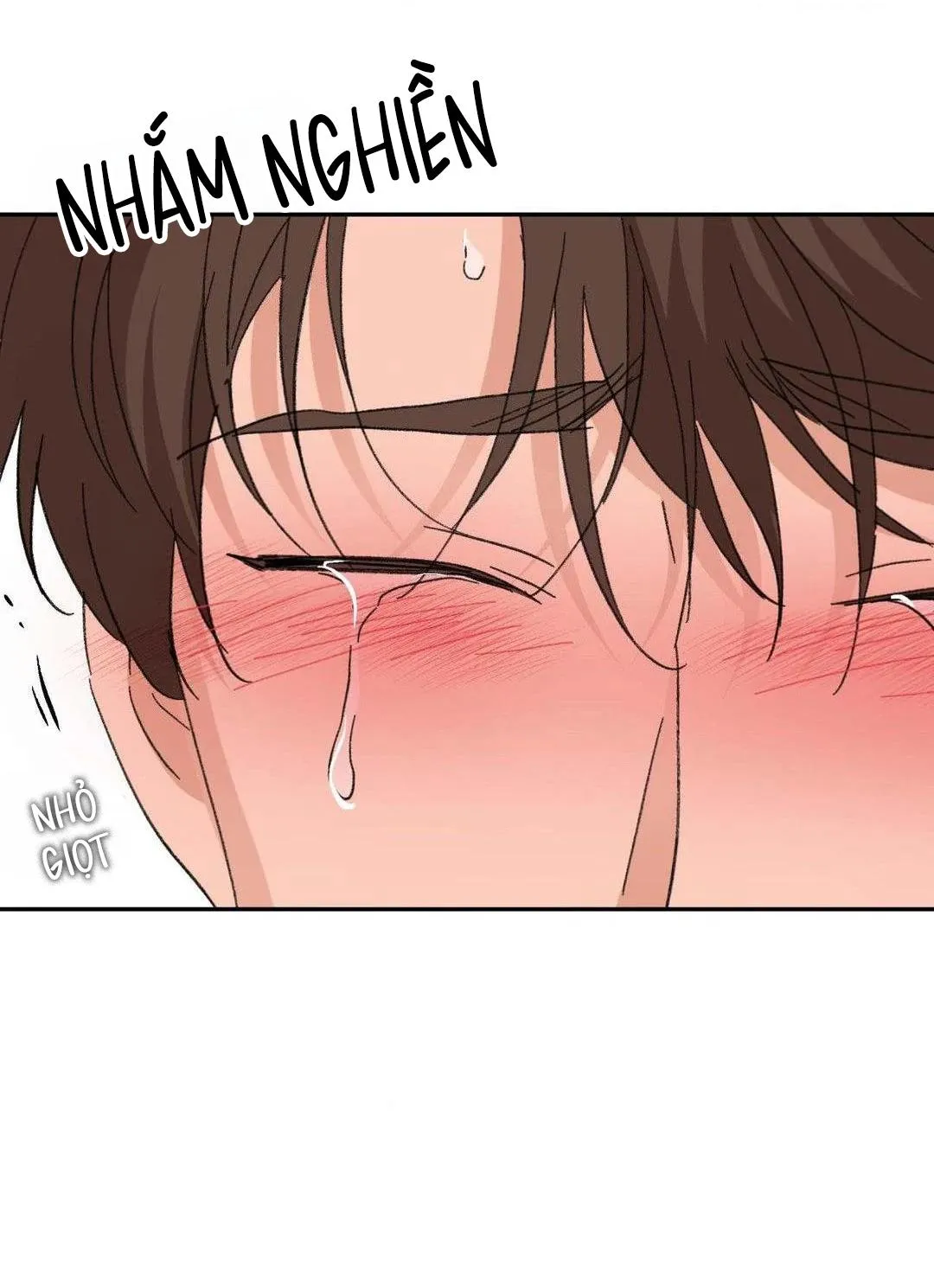 Chiếc Lá Lay Động Theo Giai Điệu Chapter 21 Trang 68