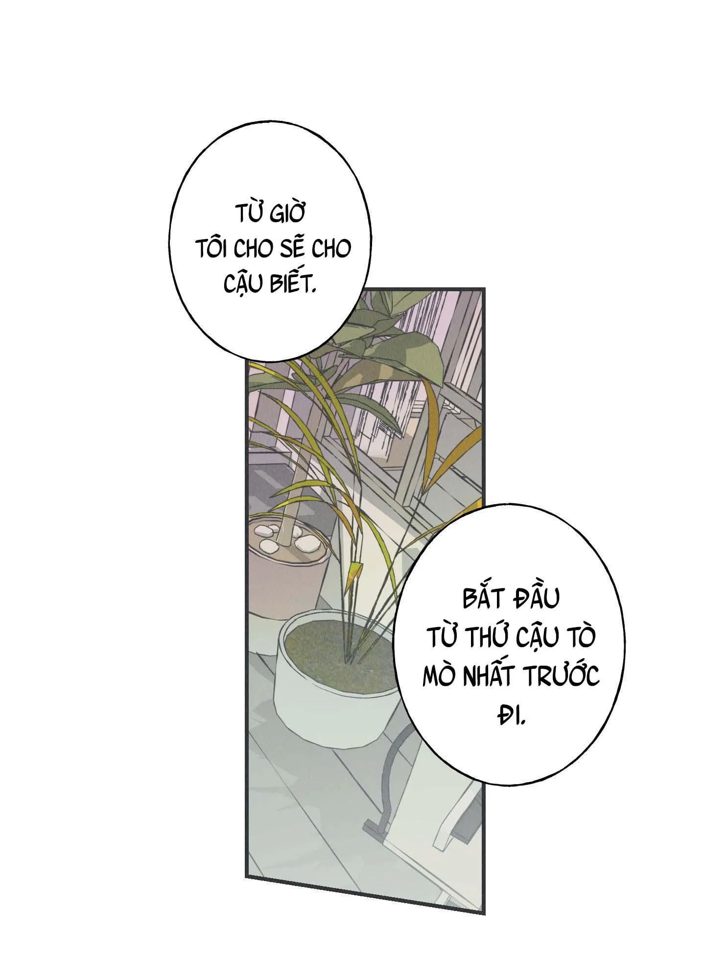 CHIẾC VÒNG CỦA RẮN Chapter 8 Trang 31