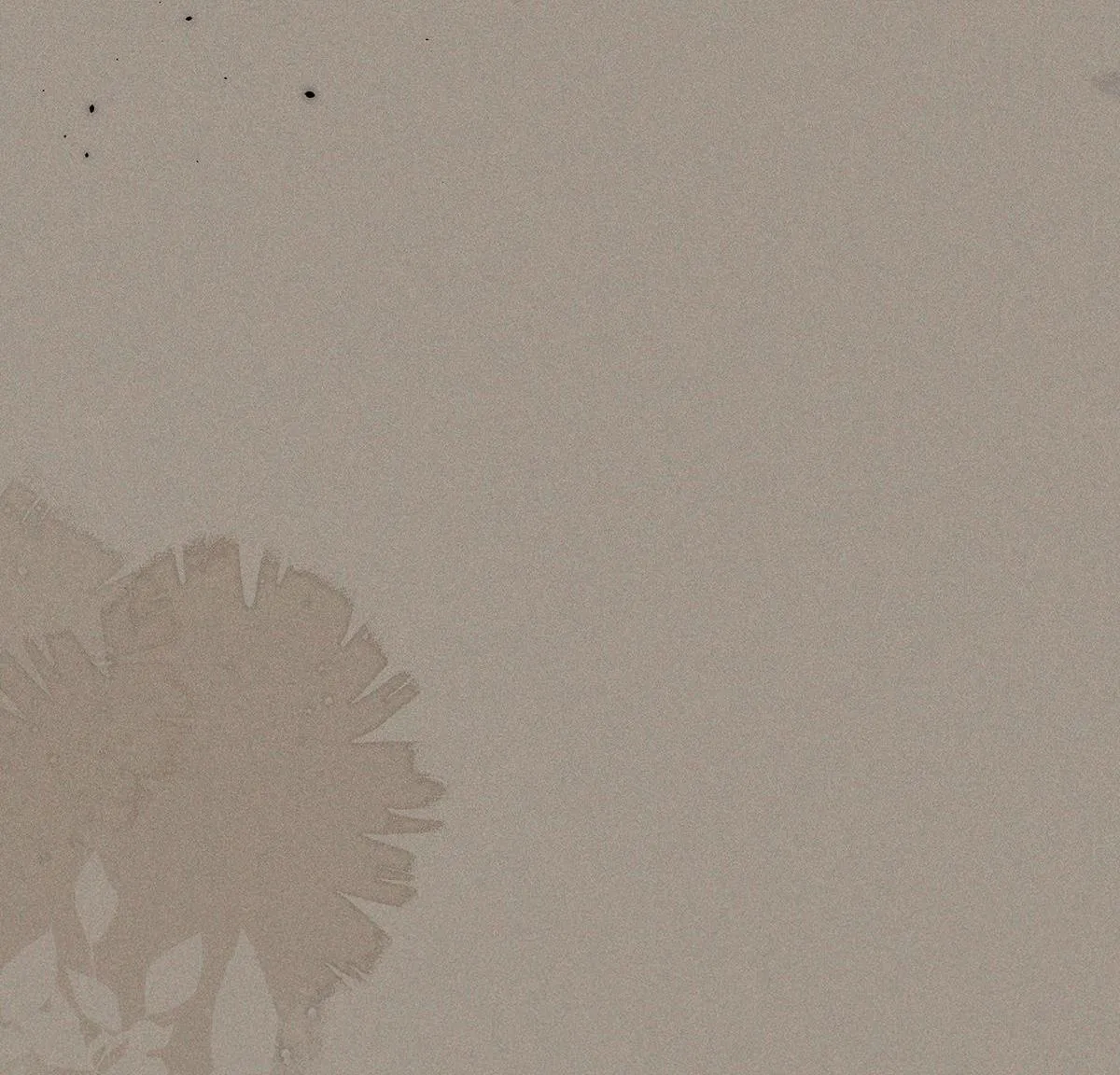 Chiếm Đoạt Ánh Trăng Chapter 23 Trang 20