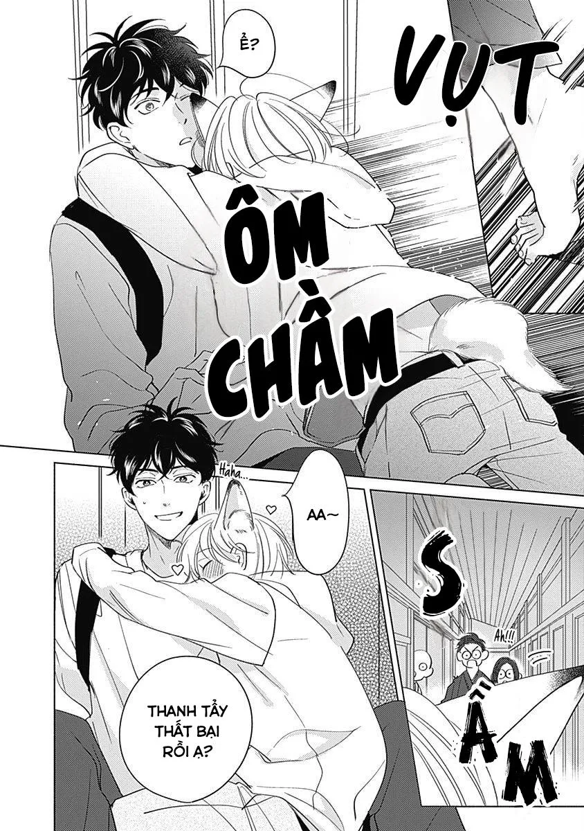 Chiếm Hữu Bởi Linh Hồn Cáo Chapter 2 Trang 3