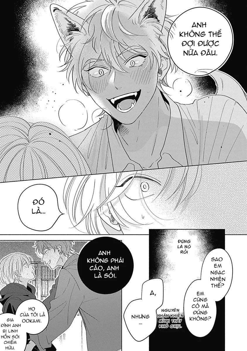 Chiếm Hữu Bởi Linh Hồn Cáo Chapter 5 Trang 4