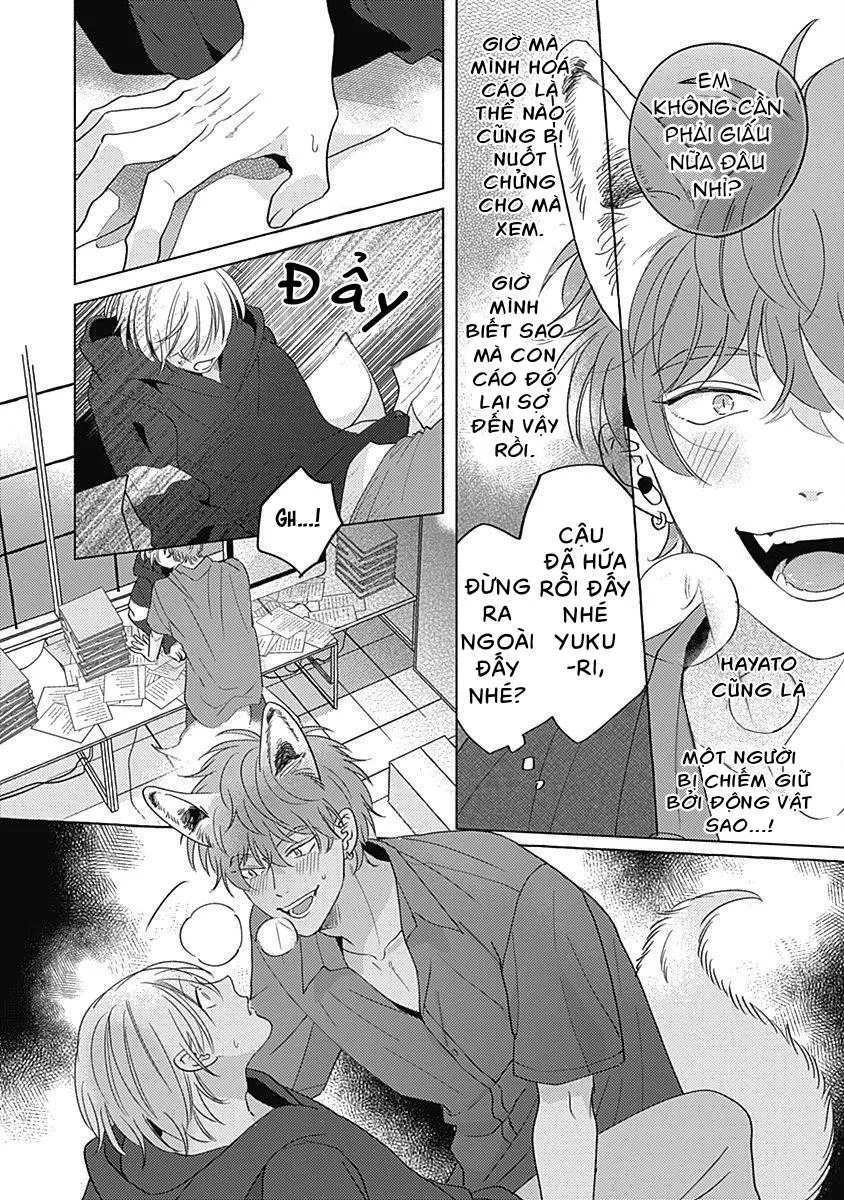 Chiếm Hữu Bởi Linh Hồn Cáo Chapter 5 Trang 5