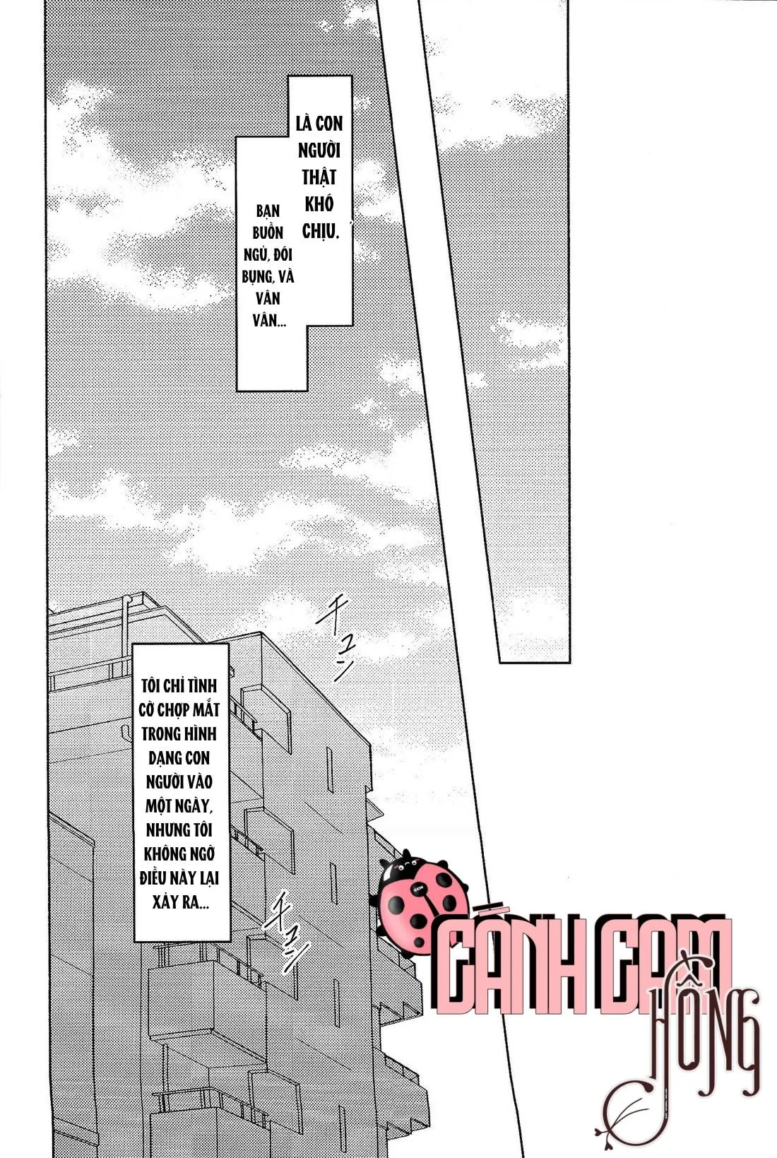 Tuyển Tập Oneshot Siêu Thịt Chọn Lọc Chapter 6 Trang 3