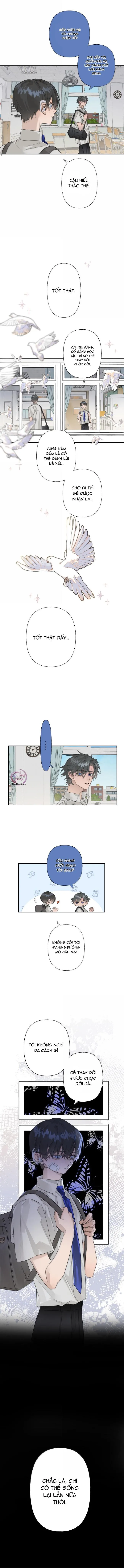 Chiến Lược Cám Dỗ Chapter 20 Trang 5