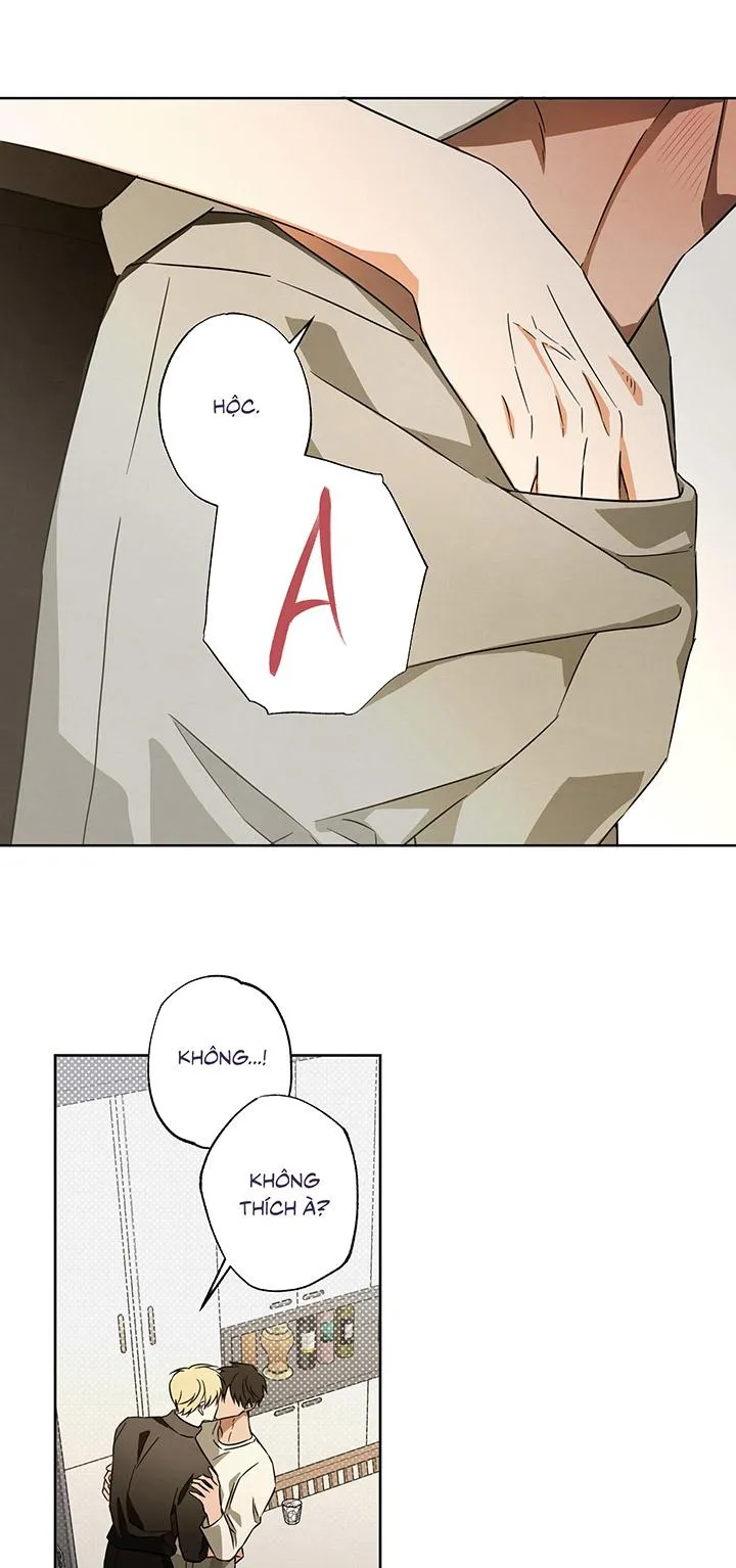 CHIẾN LƯỢC ĐOẠT TÂM CỦA CUỘC TÌNH ĐƠN PHƯƠNG Chapter 5 Trang 29