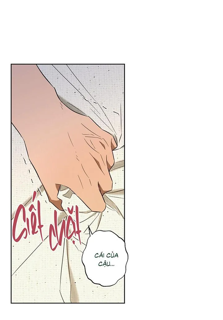 CHIẾN LƯỢC ĐOẠT TÂM CỦA CUỘC TÌNH ĐƠN PHƯƠNG Chapter 11 Trang 16