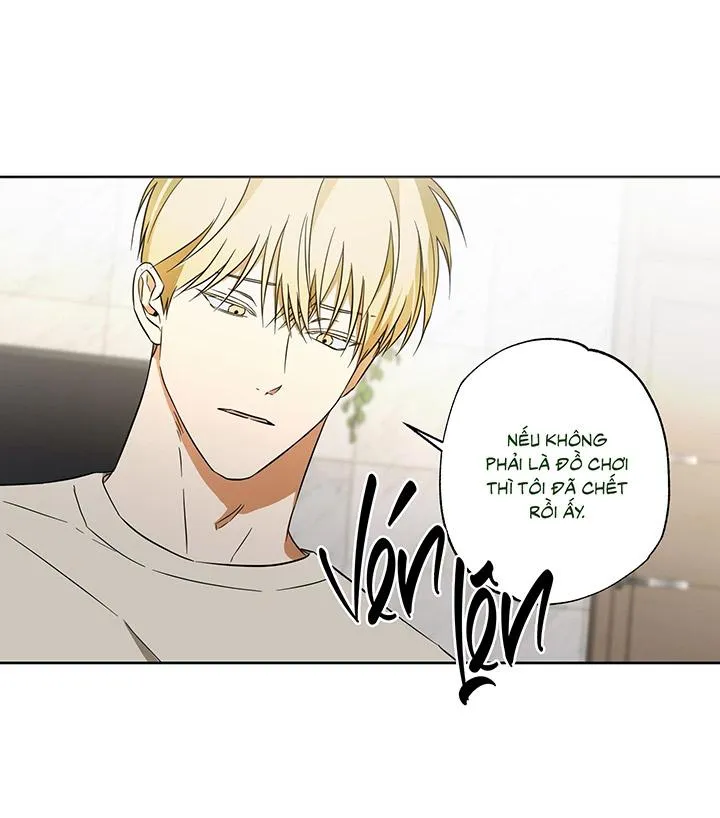 CHIẾN LƯỢC ĐOẠT TÂM CỦA CUỘC TÌNH ĐƠN PHƯƠNG Chapter 12 Trang 39