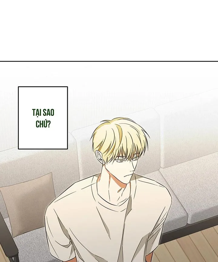 CHIẾN LƯỢC ĐOẠT TÂM CỦA CUỘC TÌNH ĐƠN PHƯƠNG Chapter 12 Trang 53