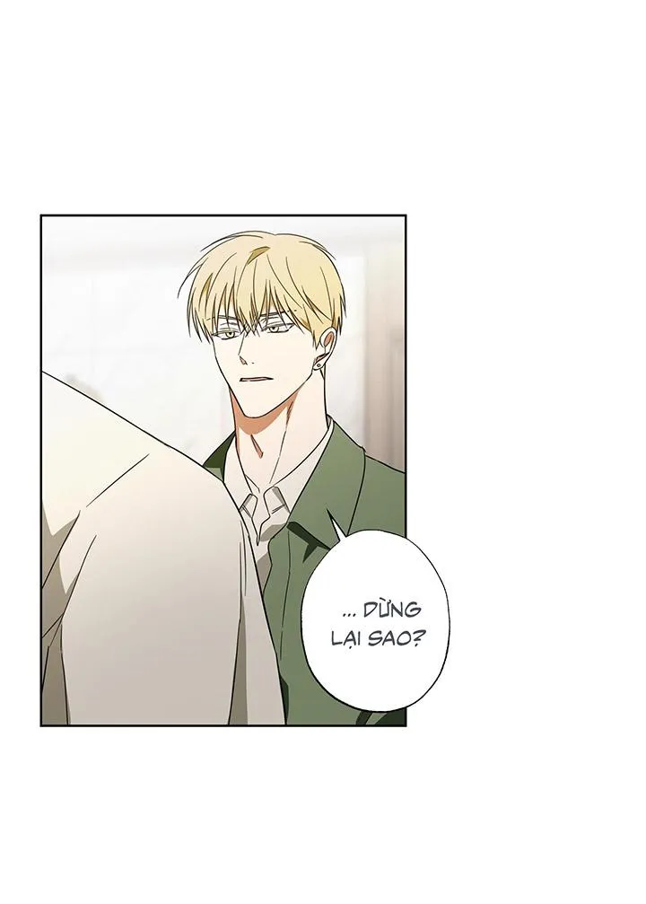 CHIẾN LƯỢC ĐOẠT TÂM CỦA CUỘC TÌNH ĐƠN PHƯƠNG Chapter 14 Trang 37