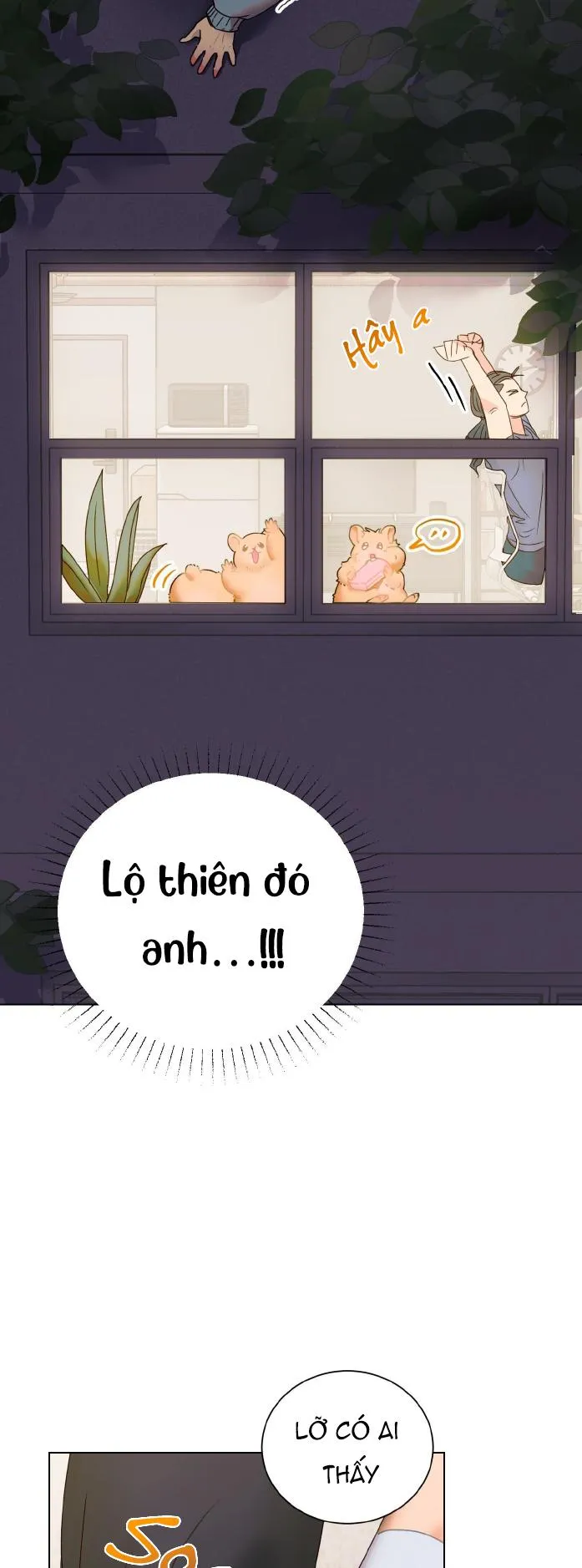 CHIẾN LƯỢC TRAO ĐỔI USB CAO CẤP Chapter 2 Trang 5