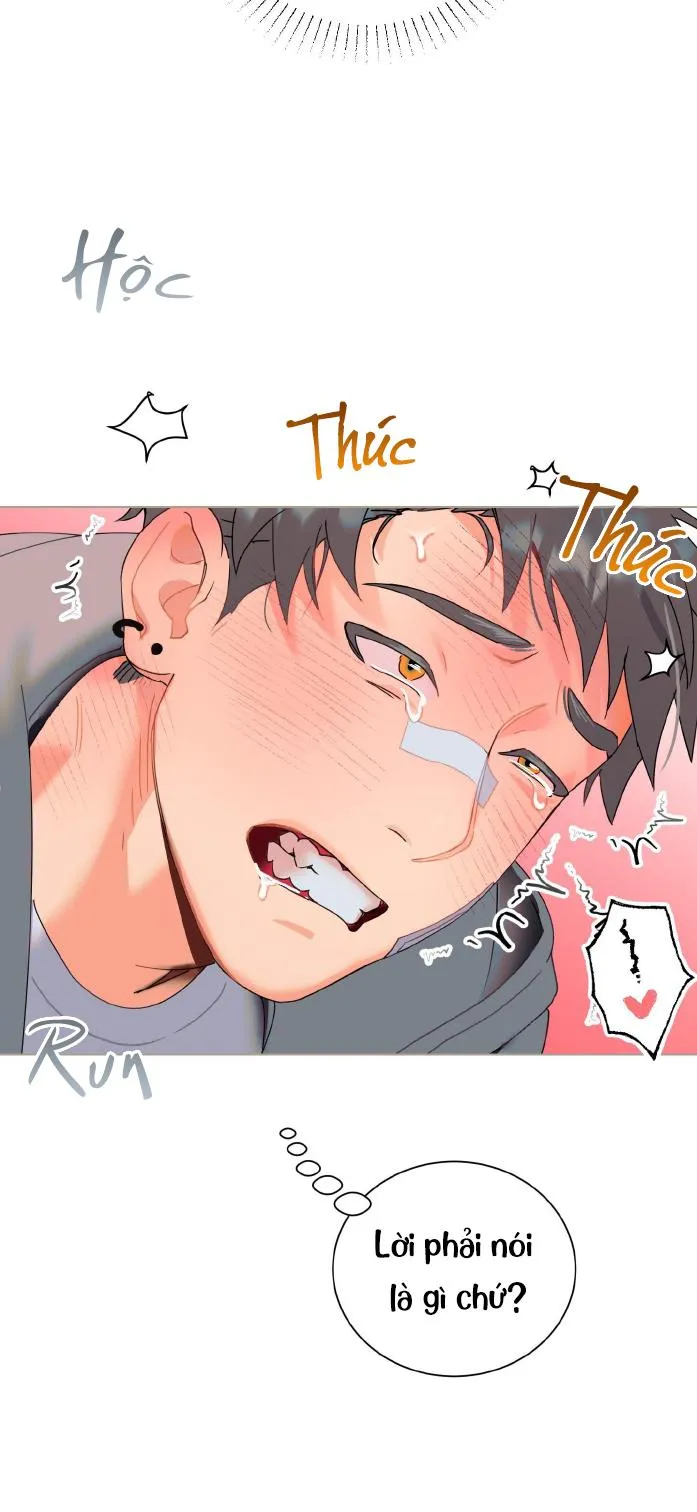 CHIẾN LƯỢC TRAO ĐỔI USB CAO CẤP Chapter 2 Trang 10