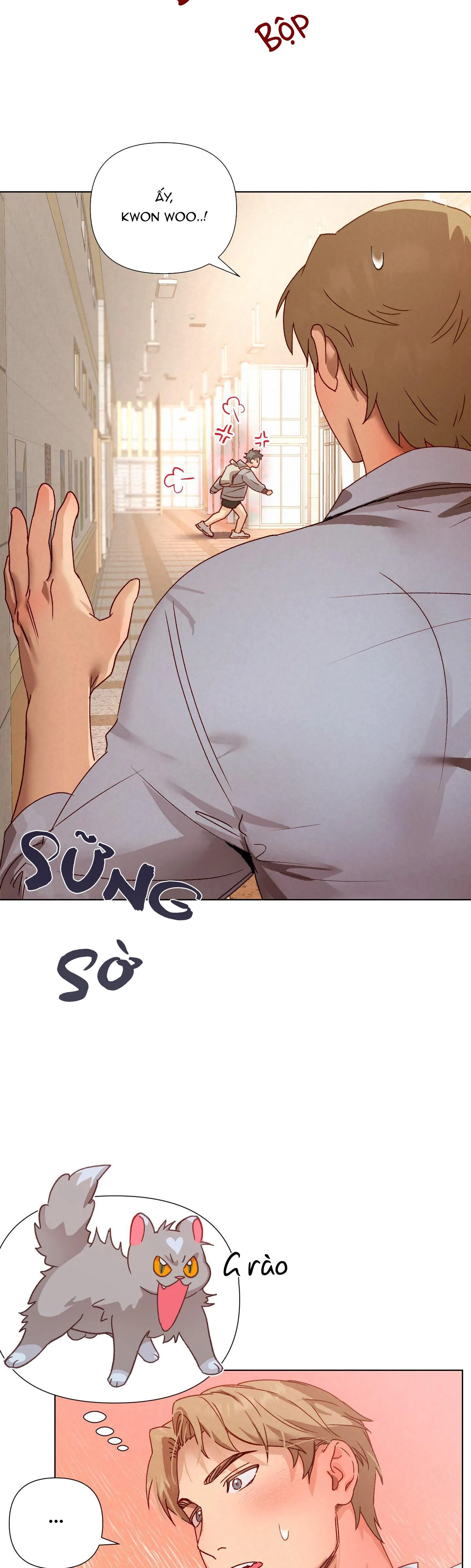 CHIẾN LƯỢC TRAO ĐỔI USB CAO CẤP Chapter 3 Trang 19