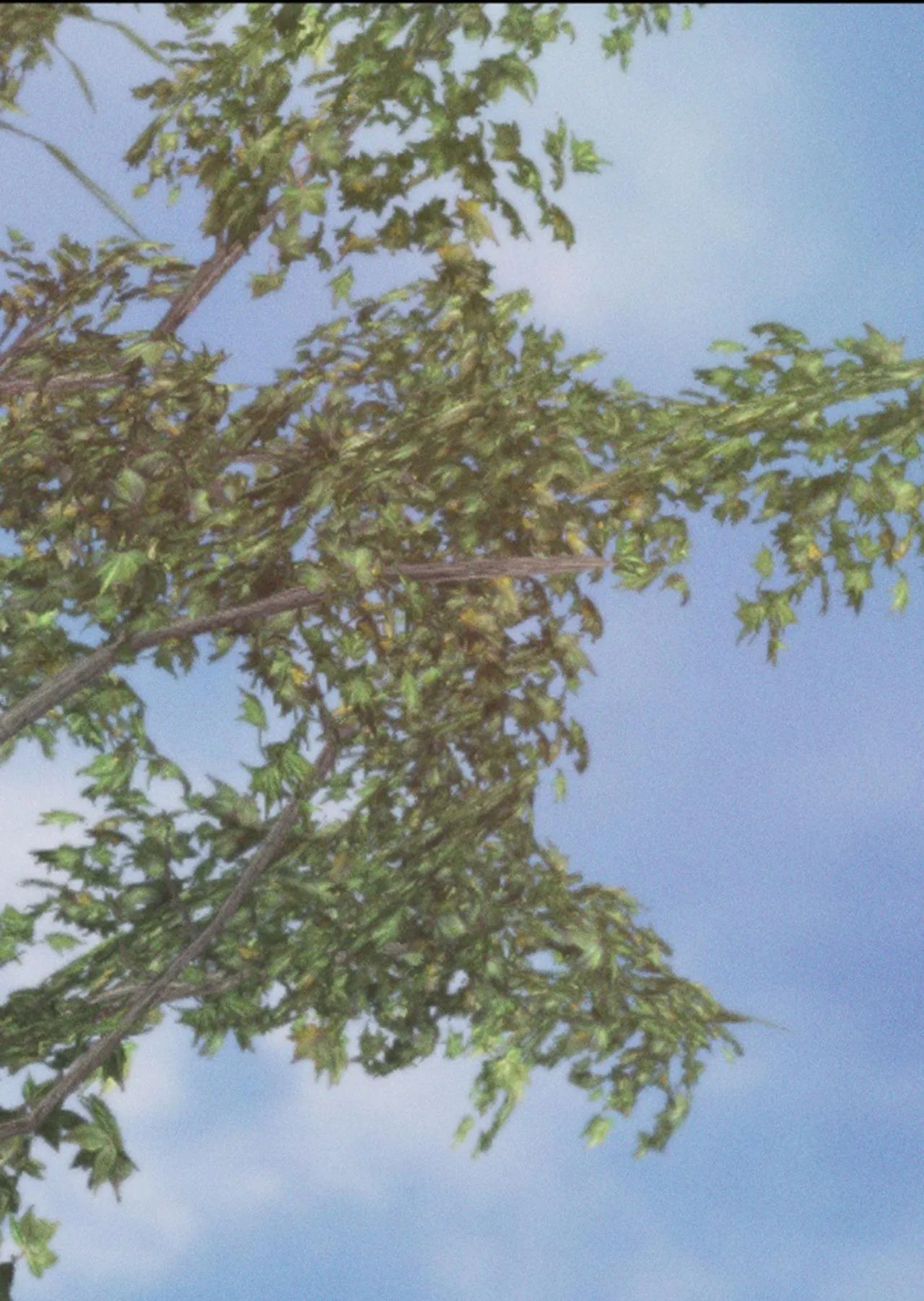 Chó Của Kẻ Khác Chapter 14 Trang 16