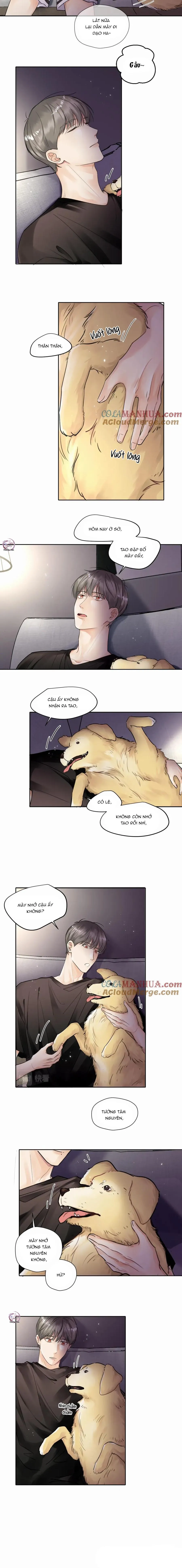 Chó Chuộc Tội Chapter 4 Trang 8