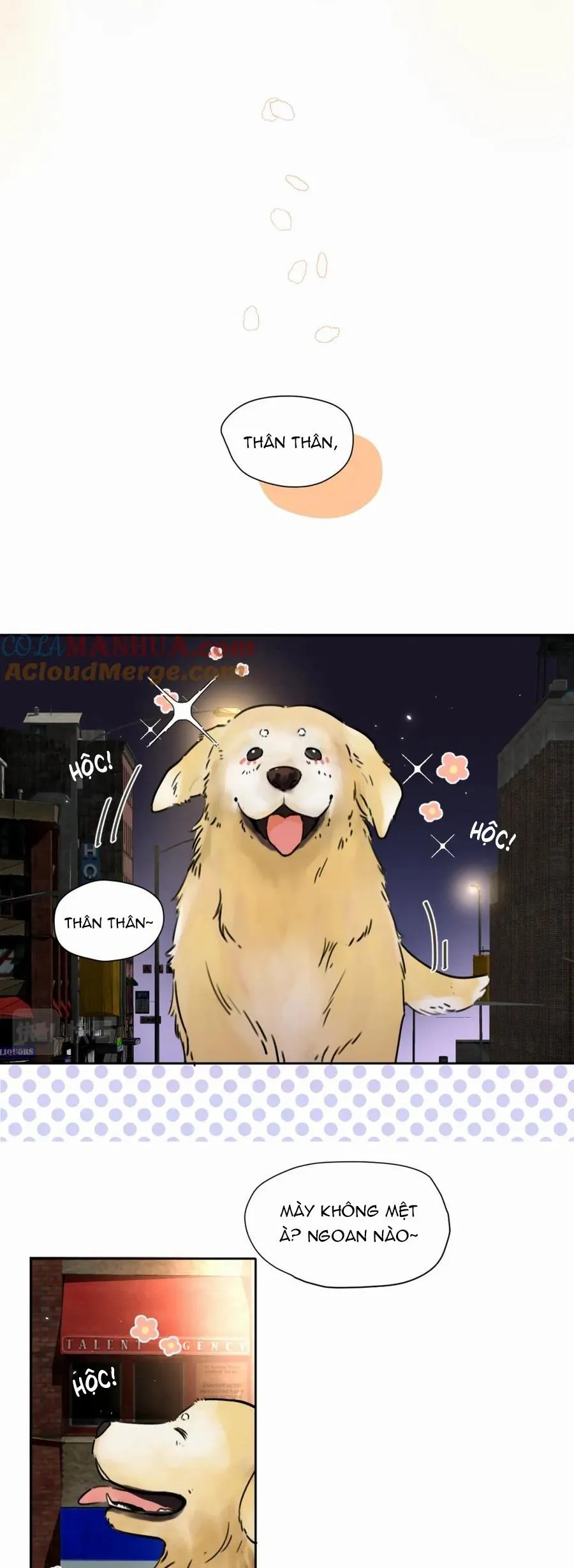 Chó Chuộc Tội Chapter 5 Trang 17