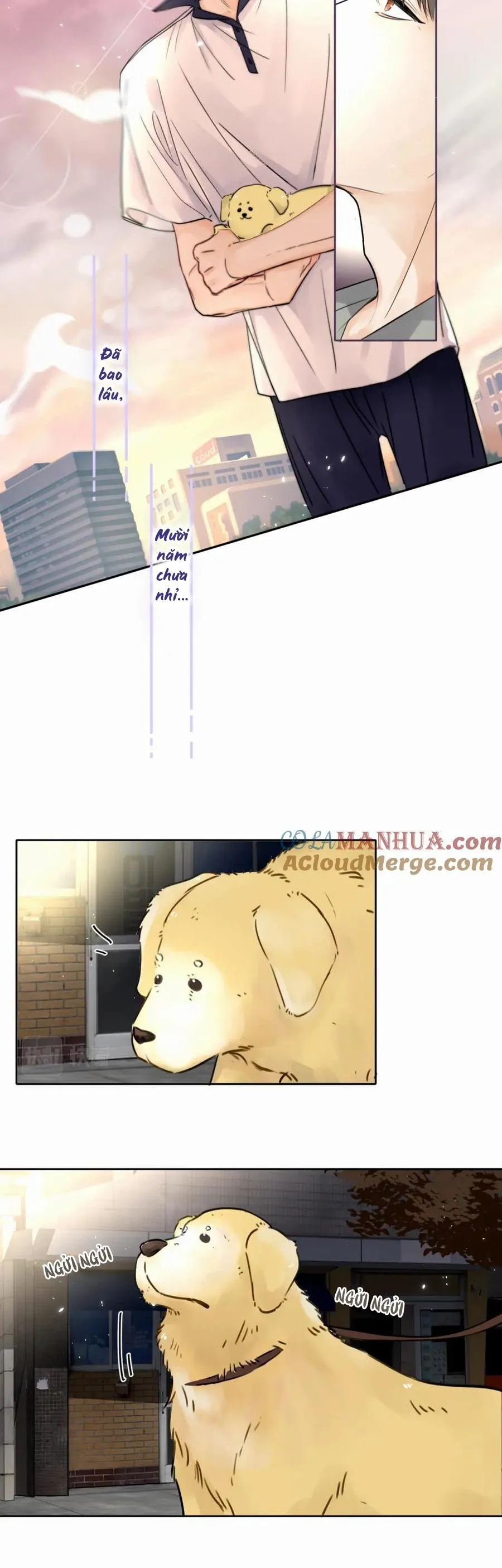 Chó Chuộc Tội Chapter 5 Trang 23