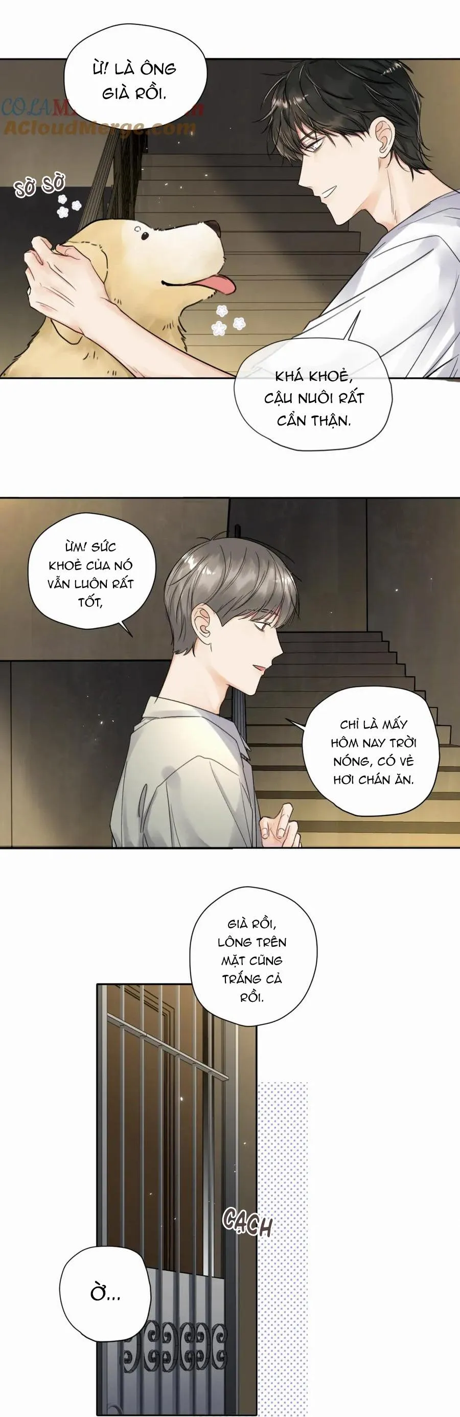 Chó Chuộc Tội Chapter 6 Trang 16