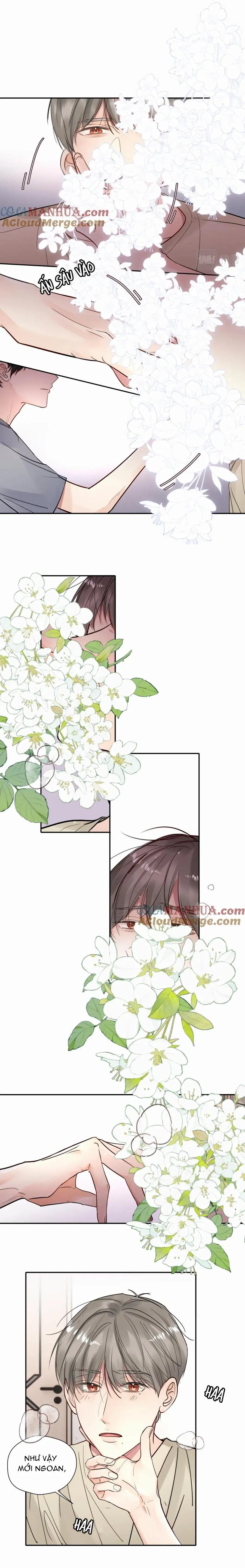 Chó Chuộc Tội Chapter 15 Trang 14