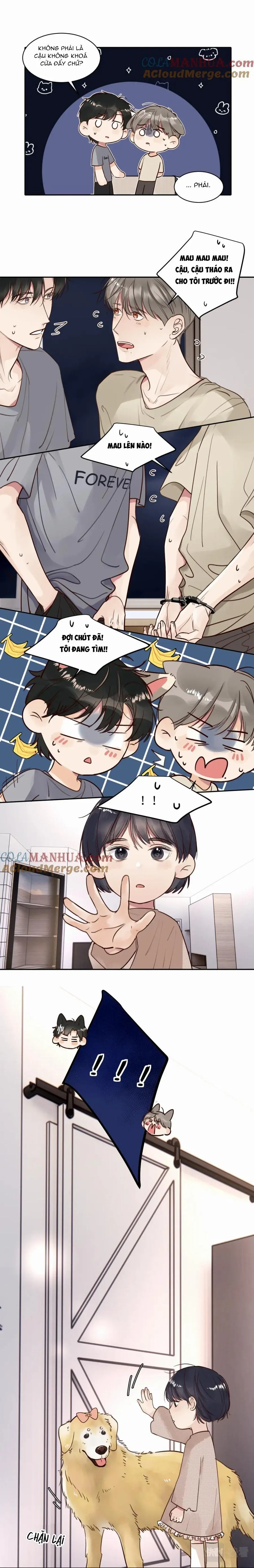 Chó Chuộc Tội Chapter 16 Trang 8