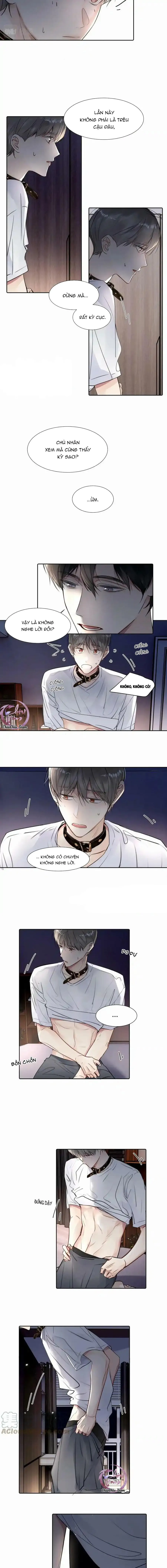 Chó Chuộc Tội Chapter 26 Trang 3