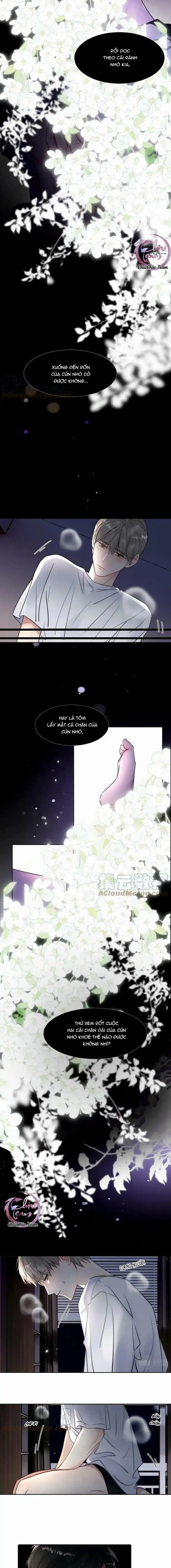 Chó Chuộc Tội Chapter 26 Trang 5