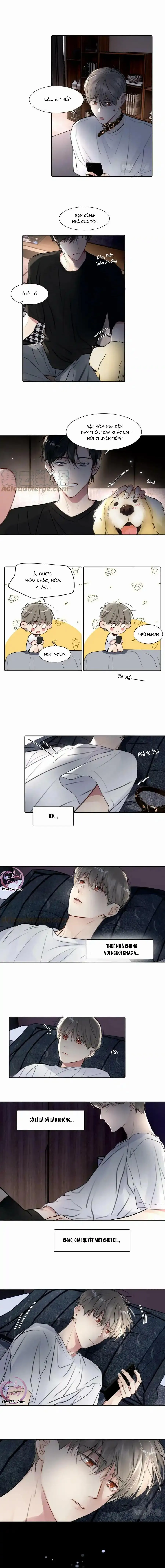 Chó Chuộc Tội Chapter 26 Trang 8