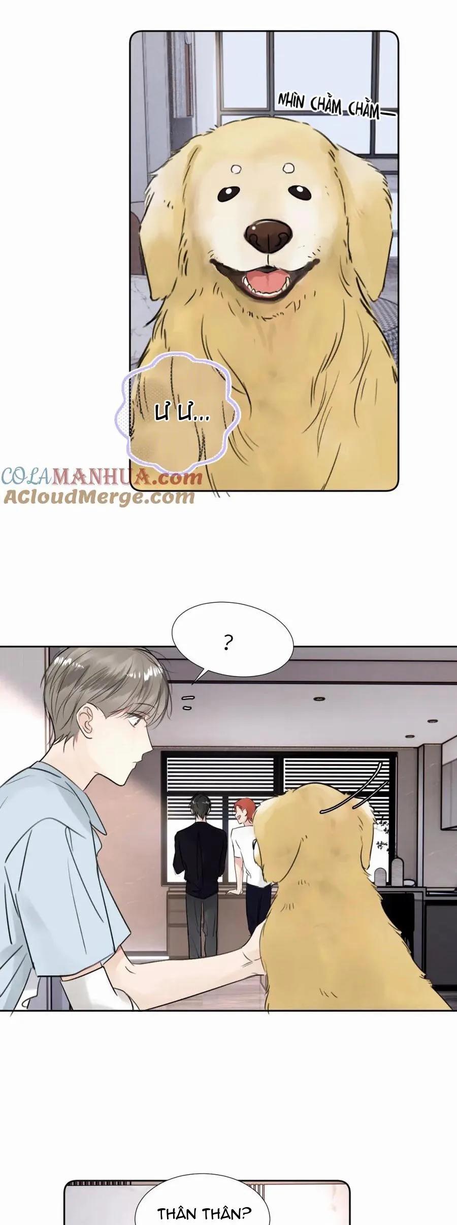 Chó Chuộc Tội Chapter 30 Trang 14