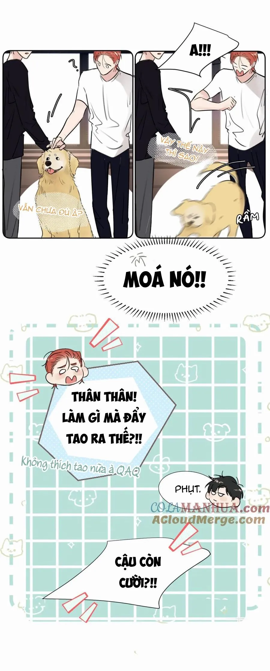 Chó Chuộc Tội Chapter 30 Trang 16