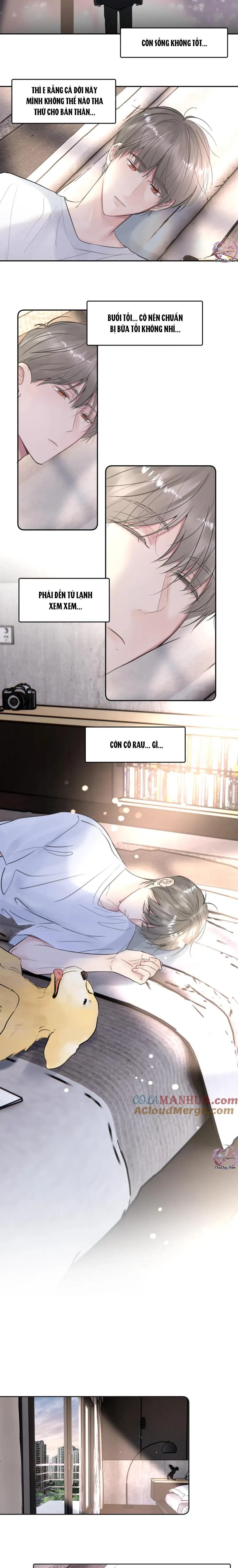 Chó Chuộc Tội Chapter 35 Trang 8