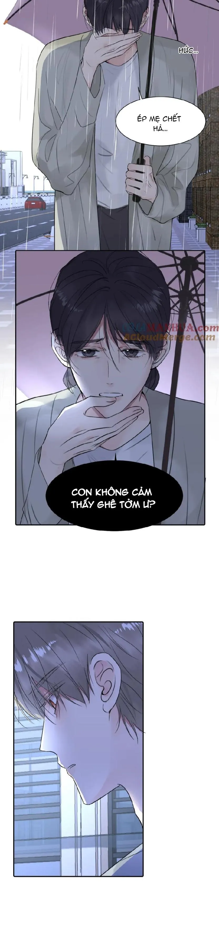 Chó Chuộc Tội Chapter 41 Trang 5