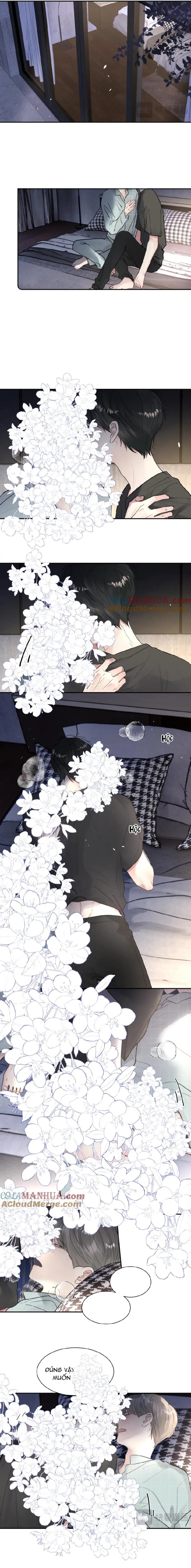 Chó Chuộc Tội Chapter 48 Trang 6