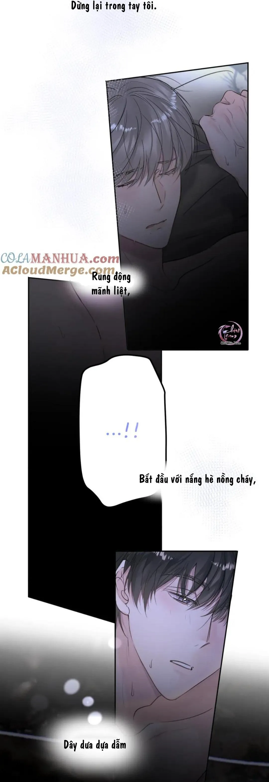 Chó Chuộc Tội Chapter 51 Trang 6