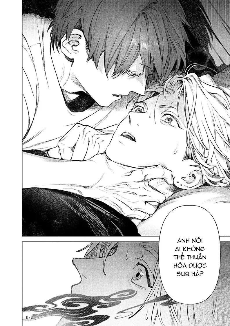 Cho Đến Khi Em Trở Thành Dom Chapter 2 Trang 24