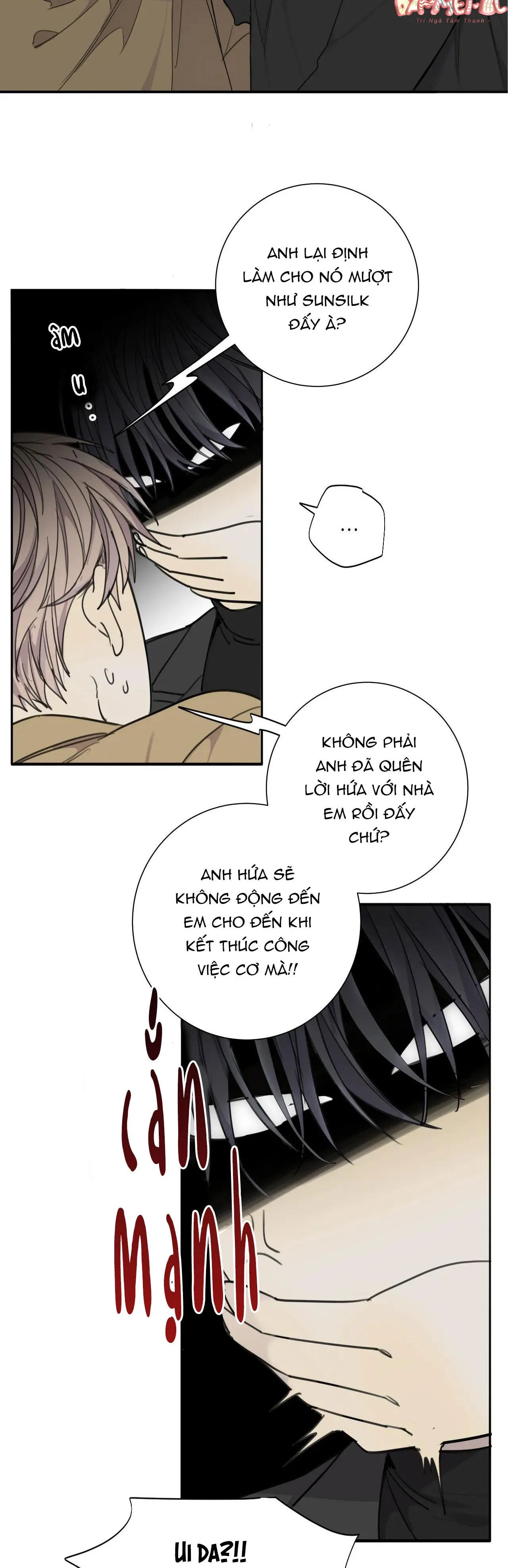 Chó Điên Chapter 33 Trang 7
