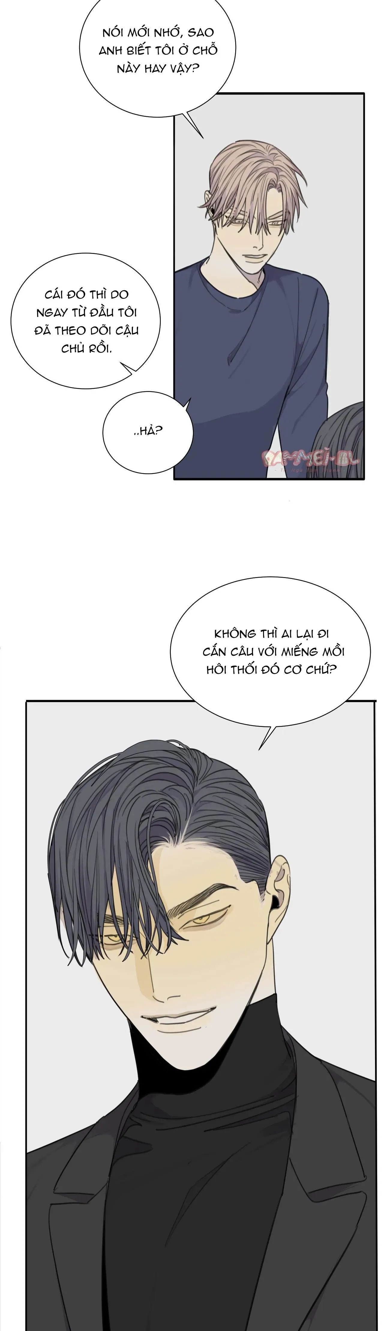 Chó Điên Chapter 41 Trang 7