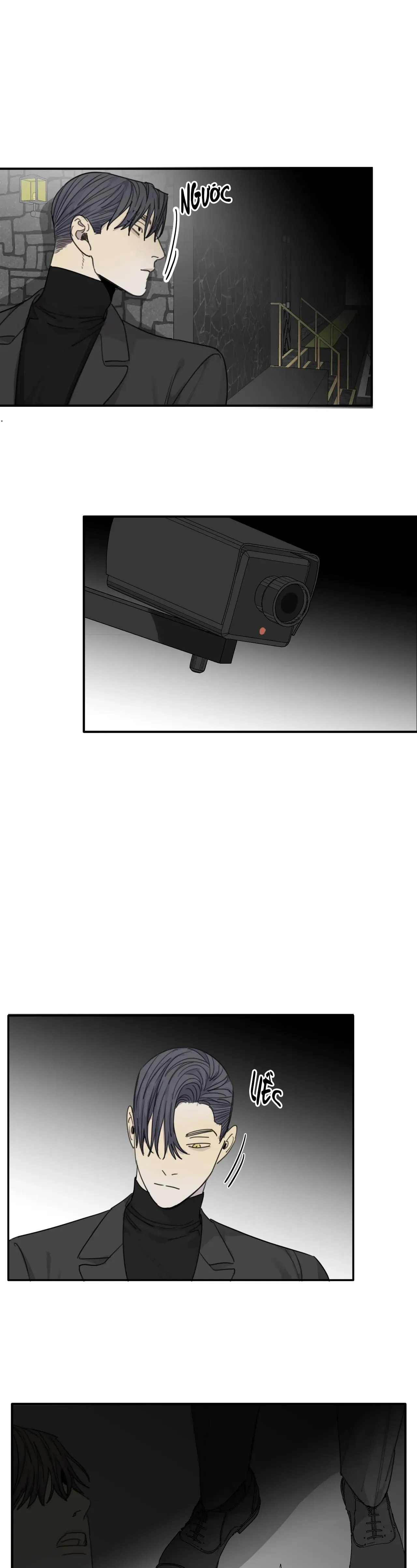 Chó Điên Chapter 43 Trang 13