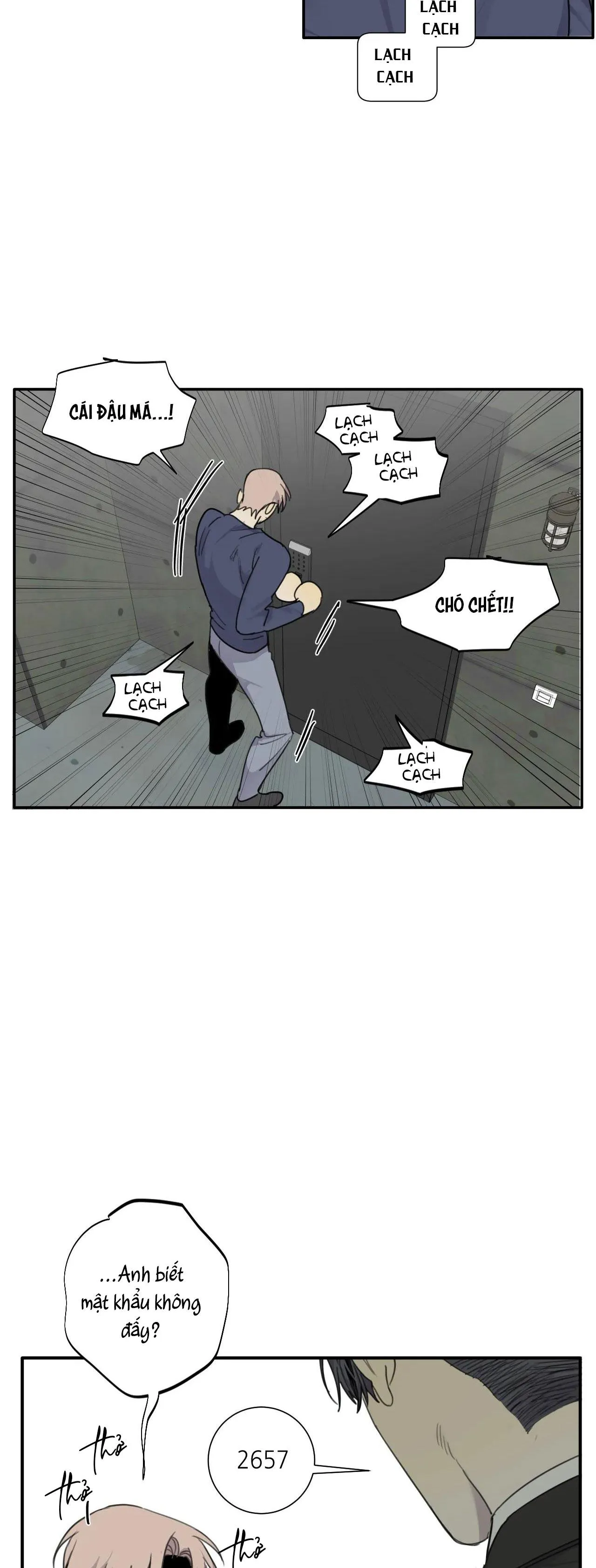 Chó Điên Chapter 46 Trang 4