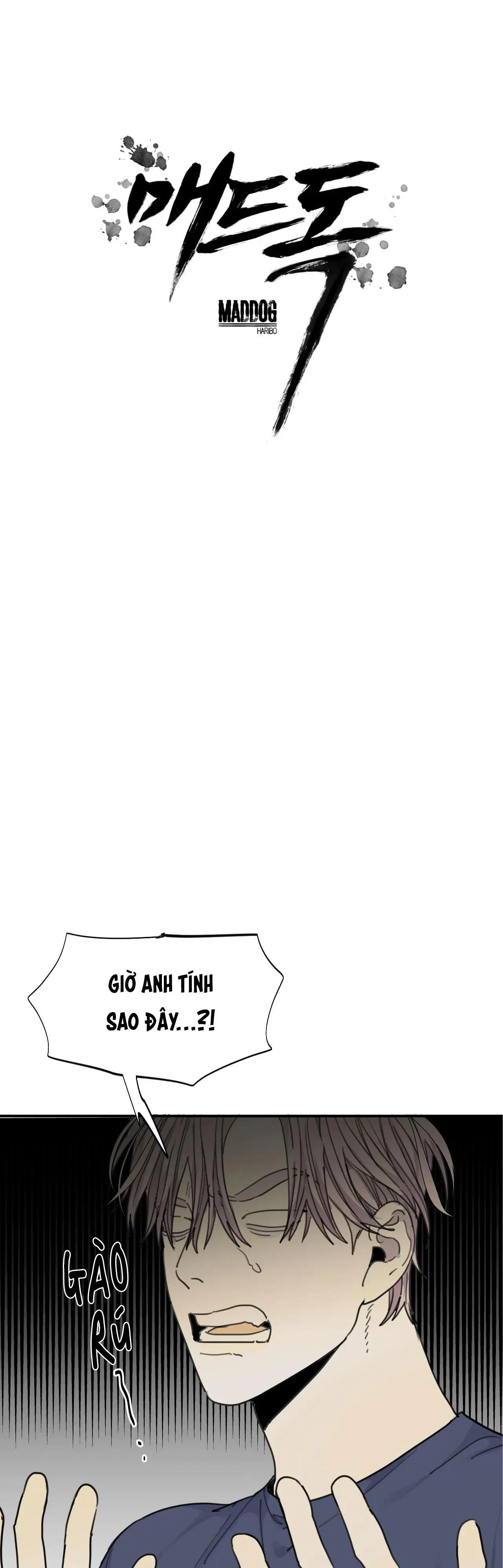 Chó Điên Chapter 47 Trang 10