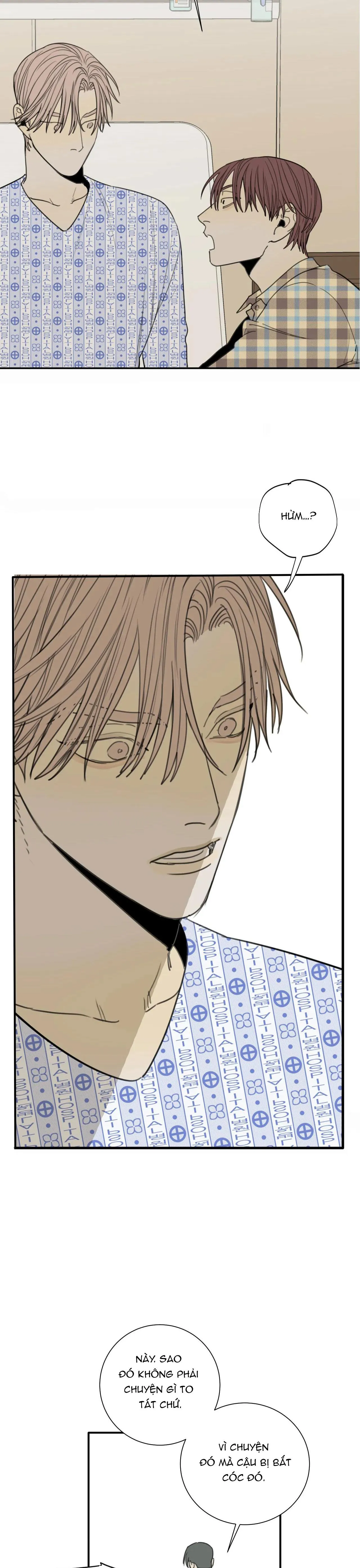 Chó Điên Chapter 50 Trang 17