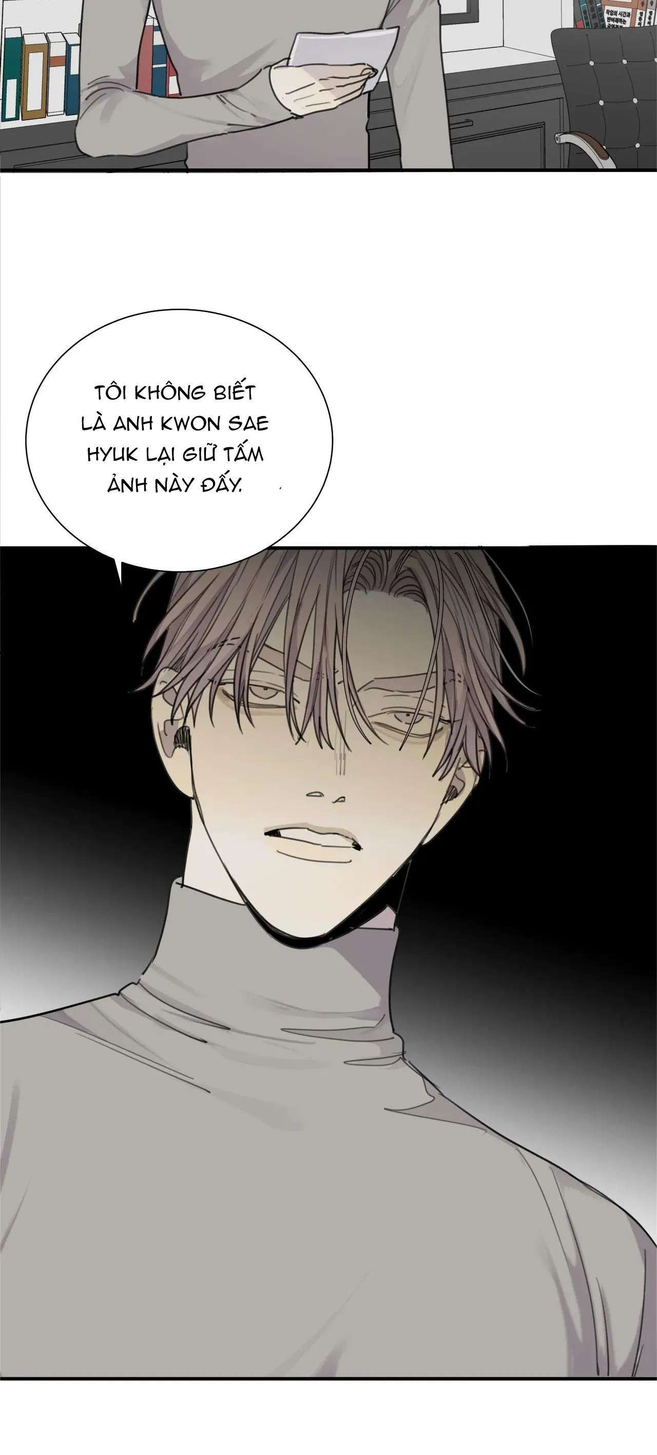 Chó Điên Chapter 51 Trang 5