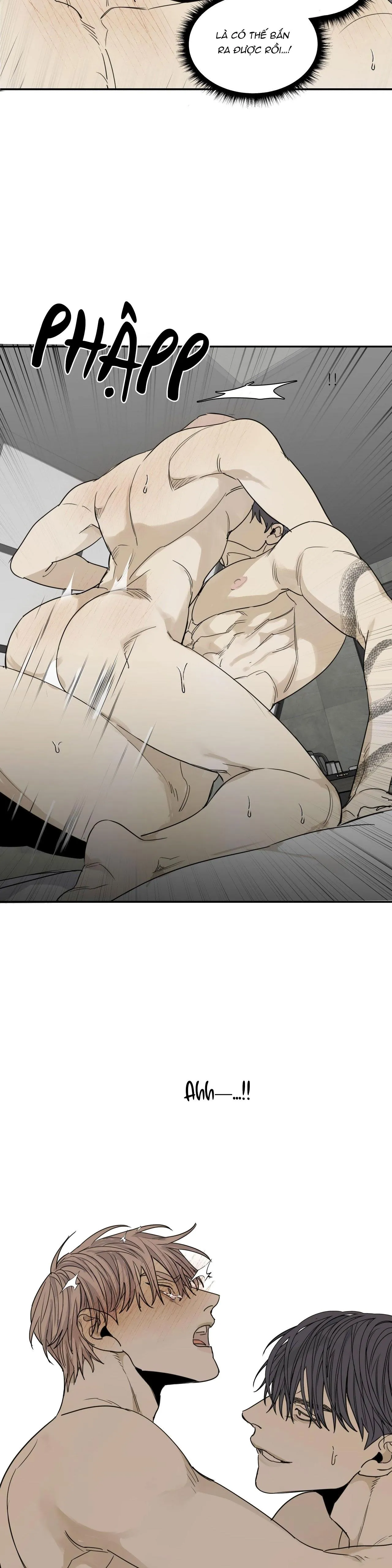 Chó Điên Chapter 62 Trang 14