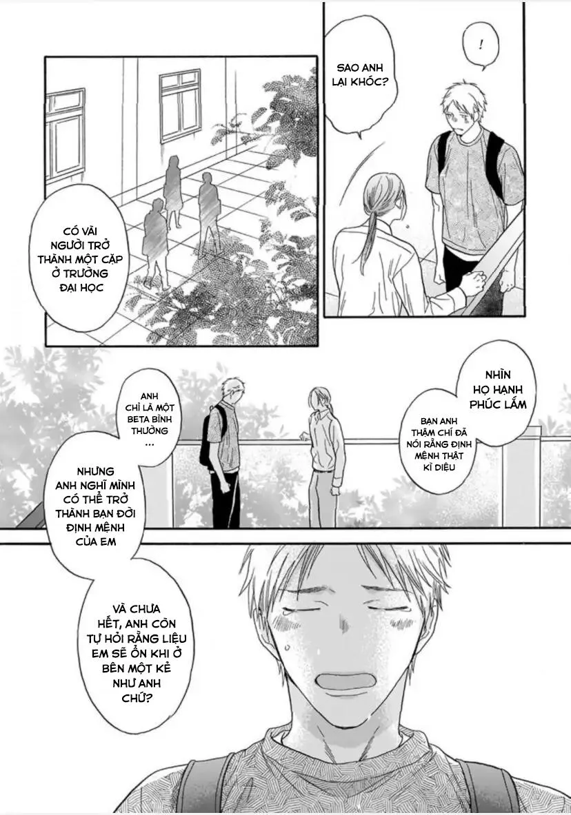 Cho Dù Không Là Định Mệnh Chapter 3 Trang 18