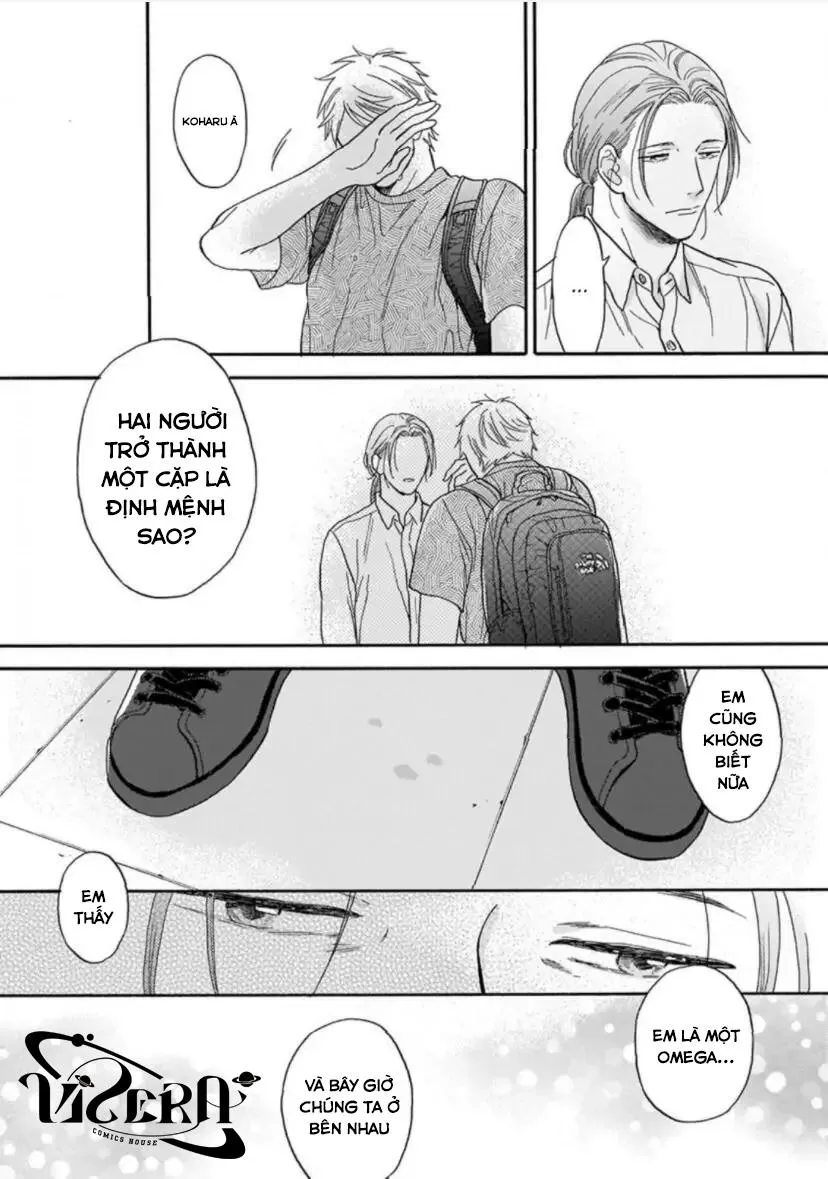 Cho Dù Không Là Định Mệnh Chapter 3 Trang 19