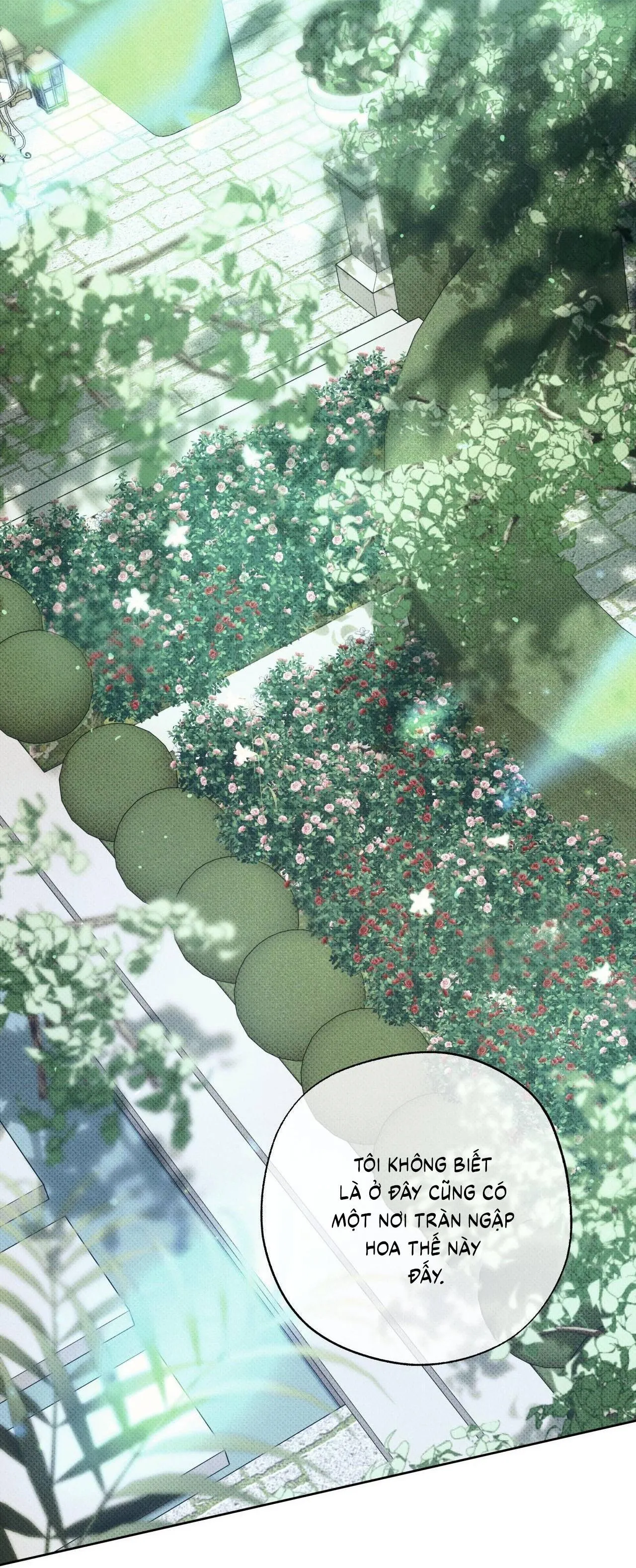 Chó Săn Của Sisyphus Chapter 11 Trang 39