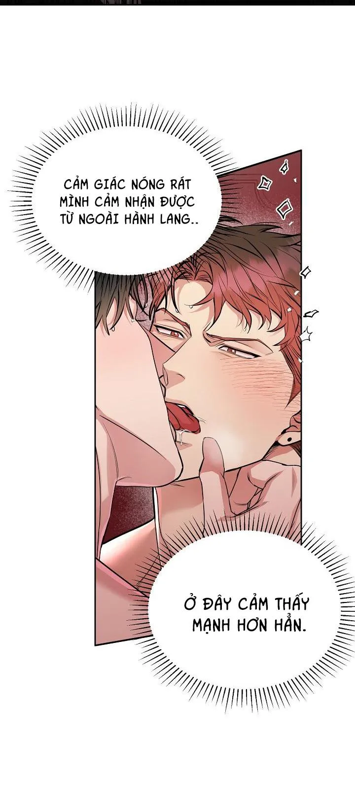 CHÓ VÀ CHIM Chapter 9 Trang 15